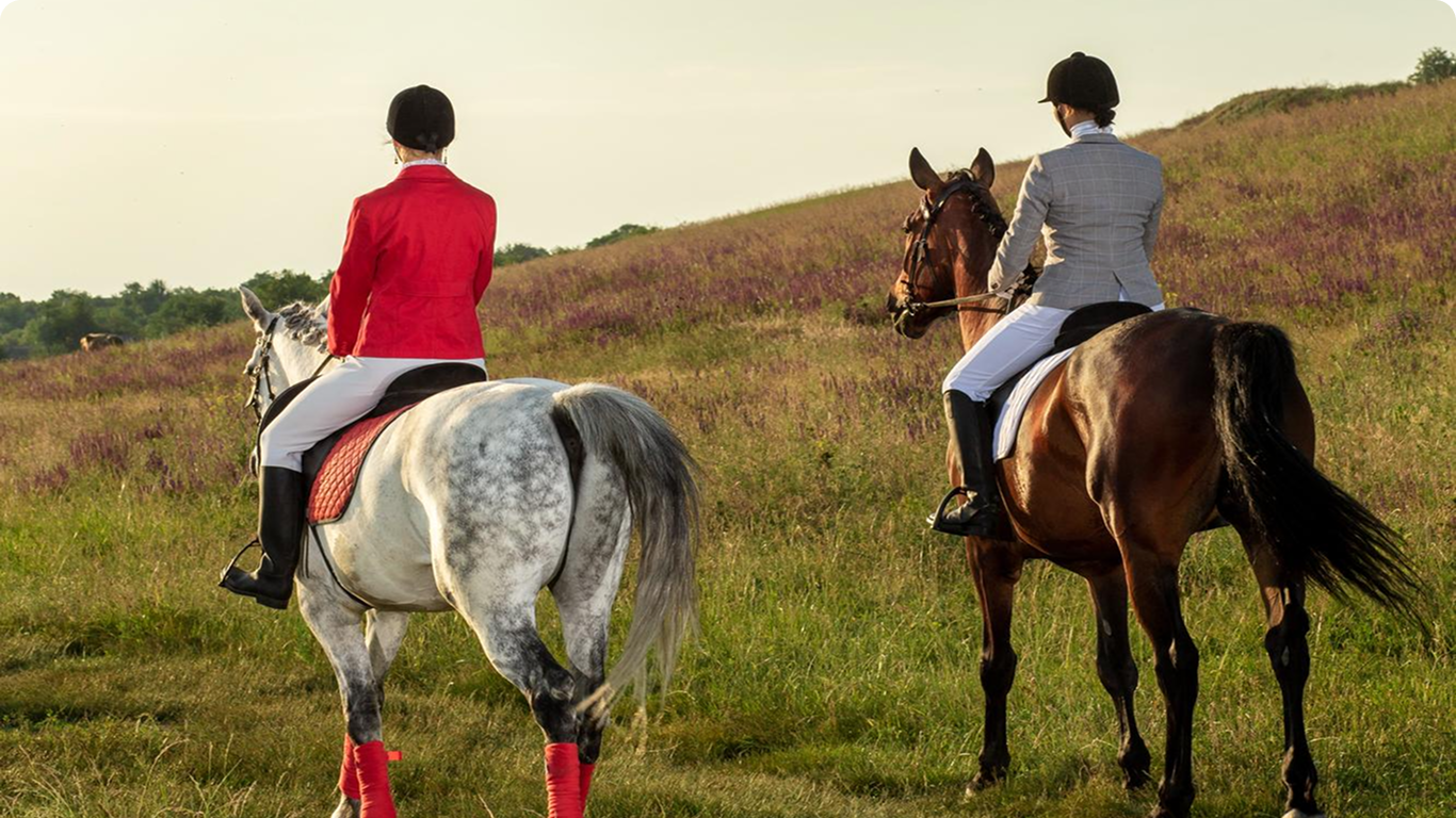 Enjoy horse rider skill learn quiet trail field