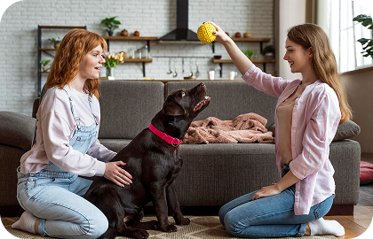 Making Pets Comfortable While You’re Away