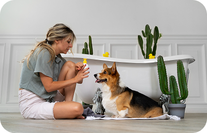 Why Routine Grooming Improves Pet Happiness